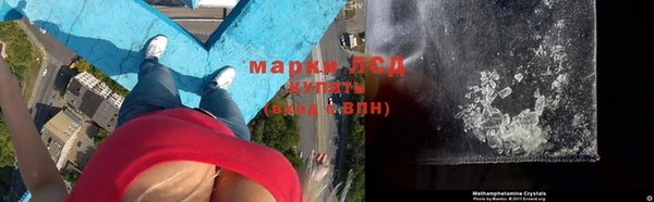 тгк Алзамай