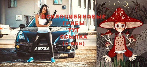 тгк Алзамай