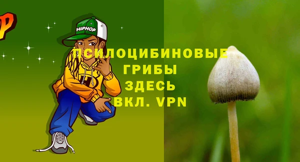 тгк Алзамай