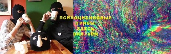 тгк Алзамай