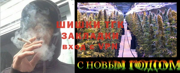 apvp Алексин