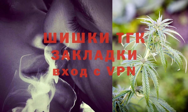 дмт Арсеньев