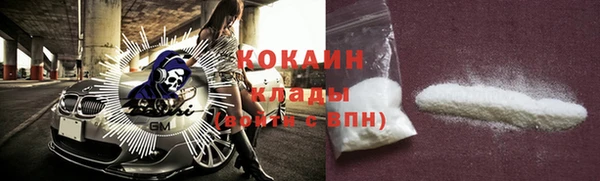 тгк Алзамай