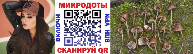 сайты даркнета состав Сосенский Галлюциногенные грибы ЛСД