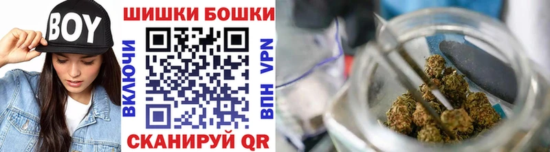 Каннабис конопля  Сосенский 